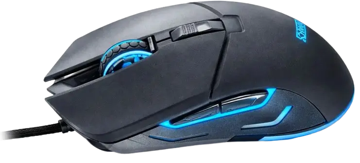 Maus